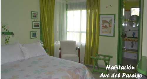 Habitación ave del paraiso